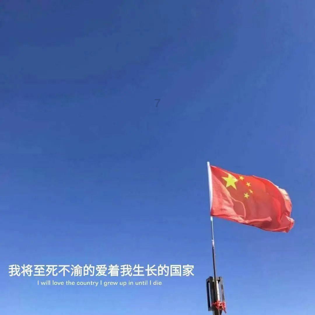 破碎的动物图形3